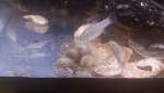 Water Organism Natural material Rock Cloud
