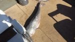 20151031_130542.jpg